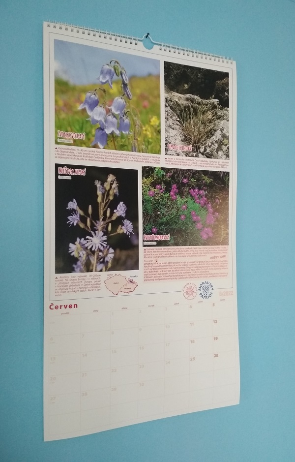 Nástěnný kalendář 2022 Byliny rostoucí na Moravě